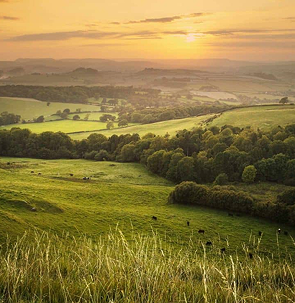 Llanelli to Cardiff Airport, Swansea Airport & Pembrey West Wales Airport