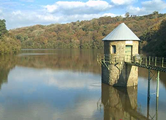 Allied Cabs - Llanelli taxi number serving Swiss Valley day and night